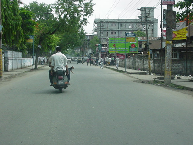 bb_road.JPG (80126 bytes)